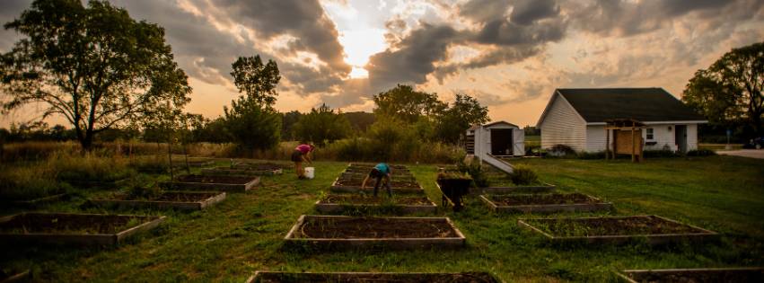 Image of raised garden boxes with the sun shining through clouds in the background.